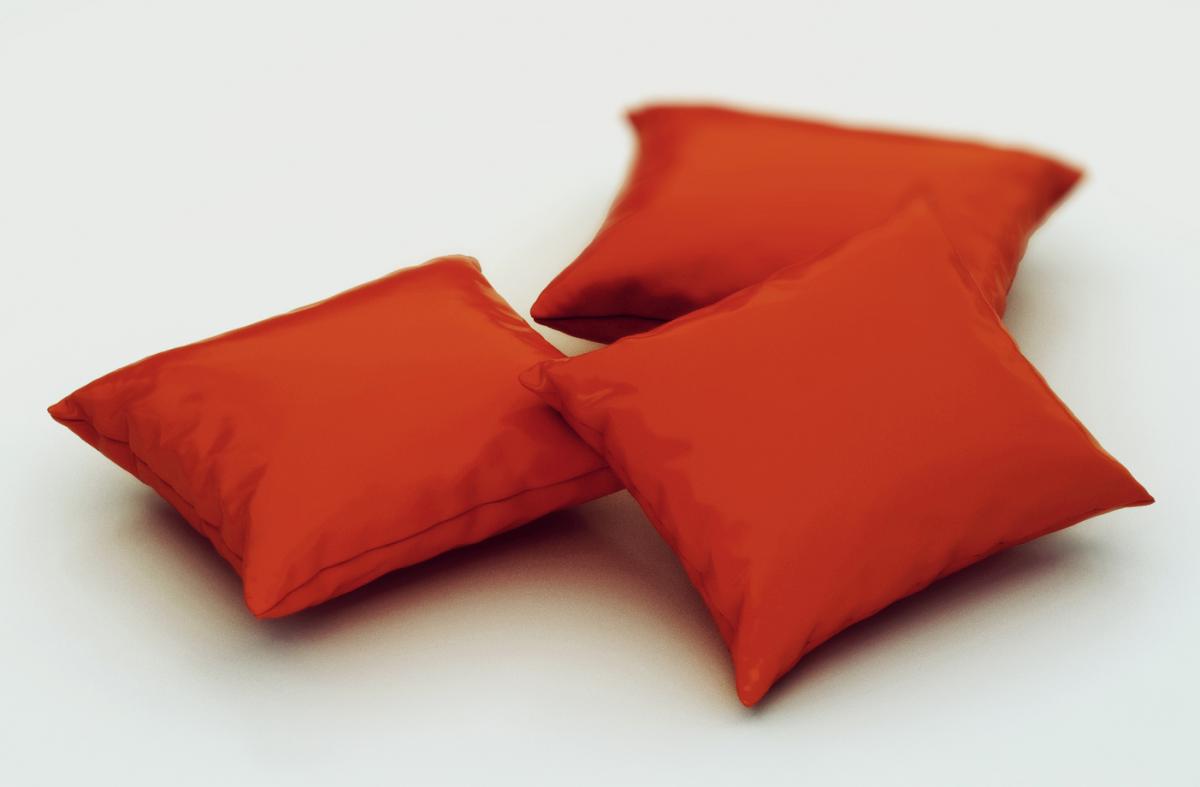 3D max pillow